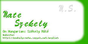 mate szekely business card